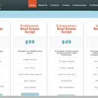 Real Estate Script's Portfolio