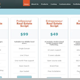 Real Estate Script: Real Estate Script