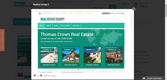 Real Estate Script: Real Estate Script